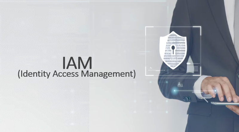 Identity and Access Management (IAM): Safeguarding the Digital Realm